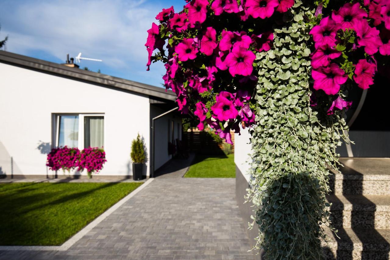 Apartament Asnyka Zamość エクステリア 写真